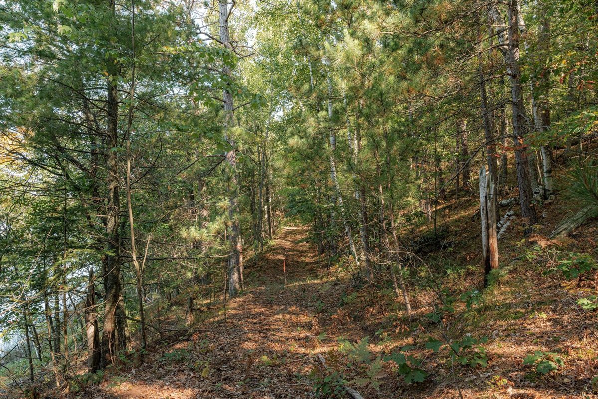 0 E Long Lake Road, Iron River WI 54856 - Land house for sale - MLS #1605717 - image10
