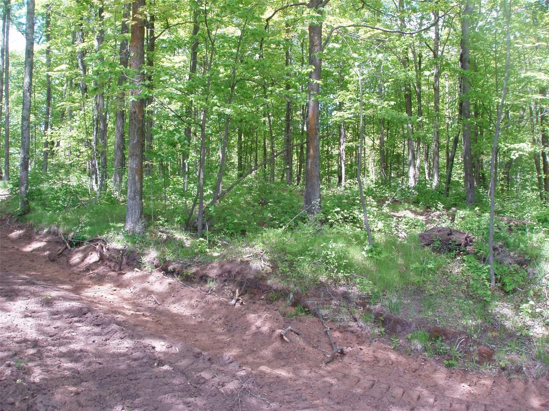 Lot 1 On Highway 169, Mellen, WI — photo 14