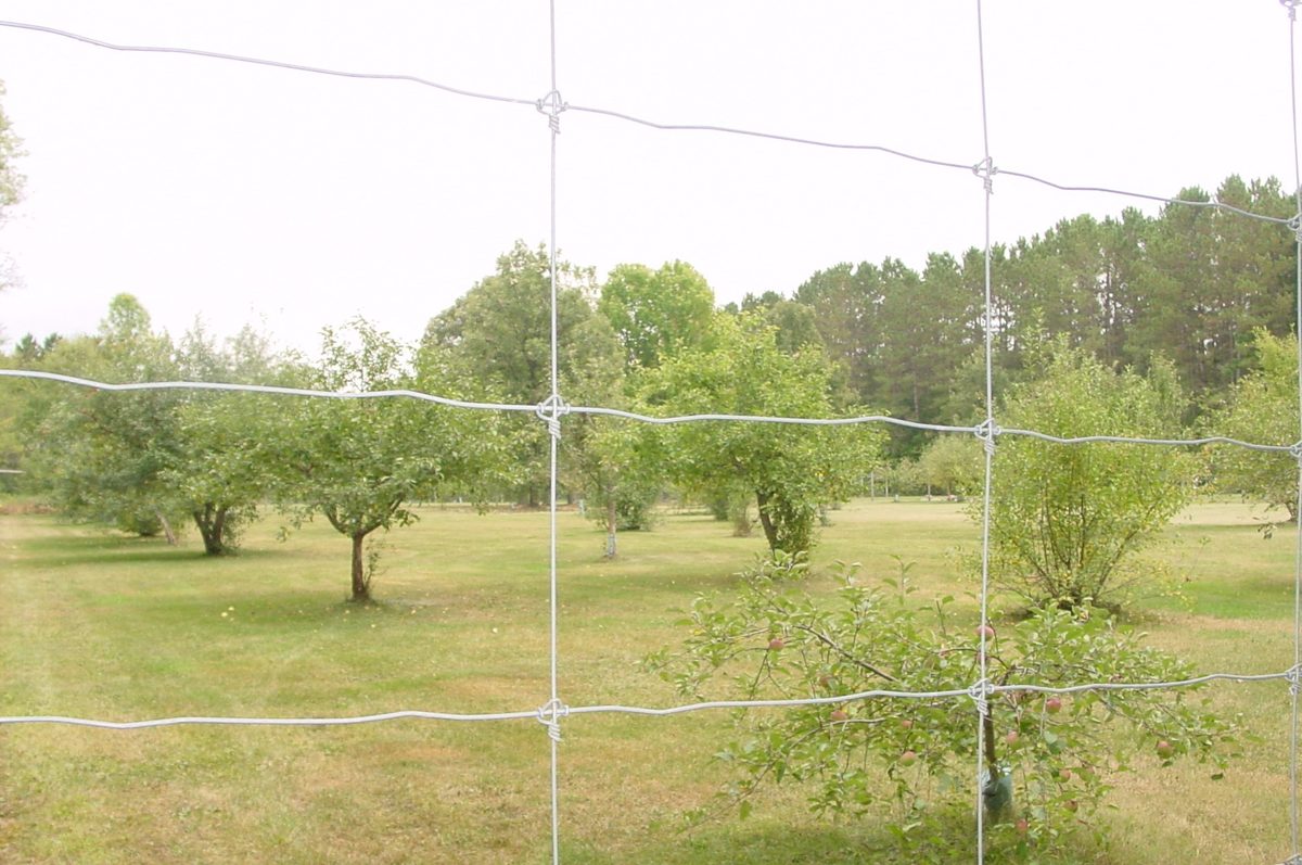N5391 Hwy. 73, Ingram WI 54526 - Residential house for sale - MLS #1604886 - image47