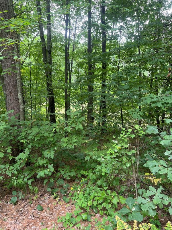 3801 Gaslyn Road, Webster WI 54893 - Residential house for sale - MLS #1604239 - image26