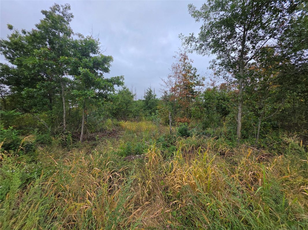 Lot 6 370th Ave Avenue, Elk Mound WI 54739 - Land house for sale - MLS #1605278 - image6