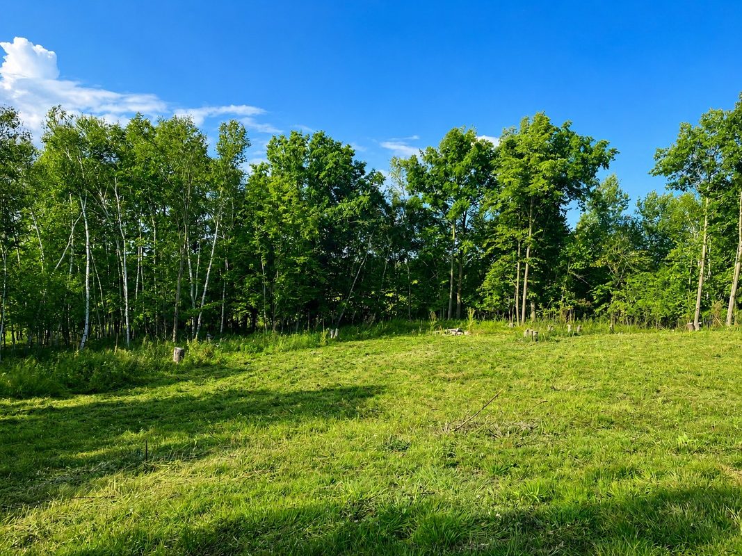 110 90th Avenue, Clayton WI 54004 - Land house for sale - MLS #1604843 - image5