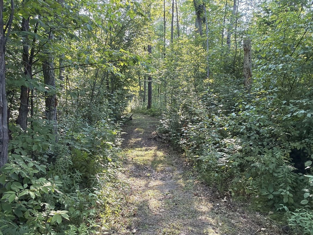W9527 Mile Road, Ladysmith WI 54848 - Residential house for sale - MLS #1603730 - image33