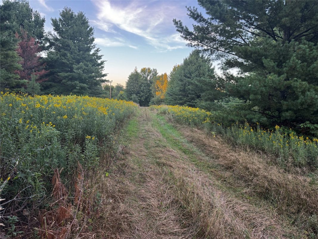 xxx 340th Avenue, Lewis WI 54837 - Land house for sale - MLS #1604783 - image28