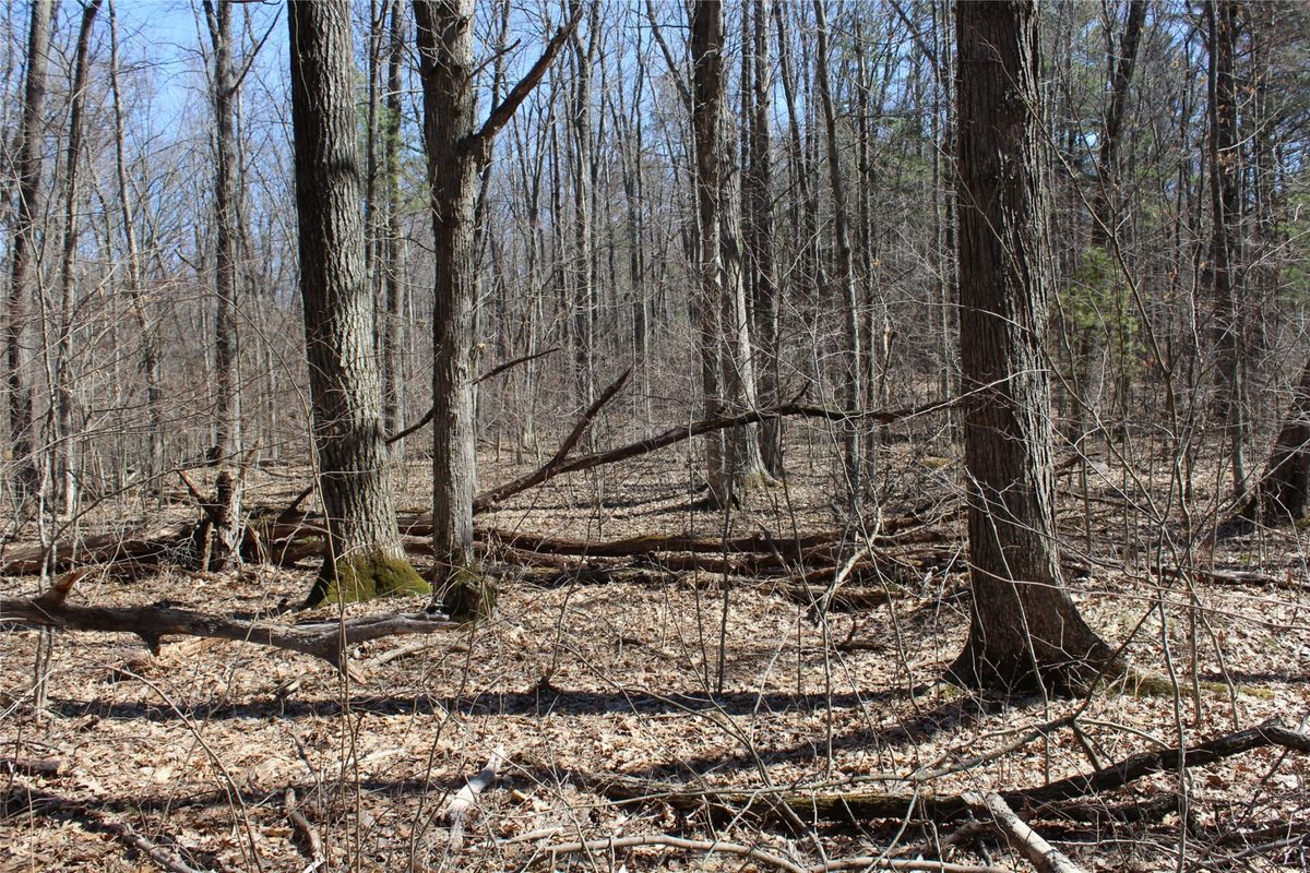 00 Resewood Ave. – Lot 4 Neillsville WI 54456 — photo 13