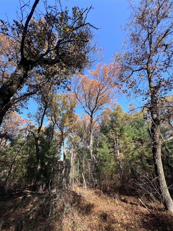 TBD Fish Drive, Grand Marsh WI 53936 - Land house for sale - MLS #1606229 - image7