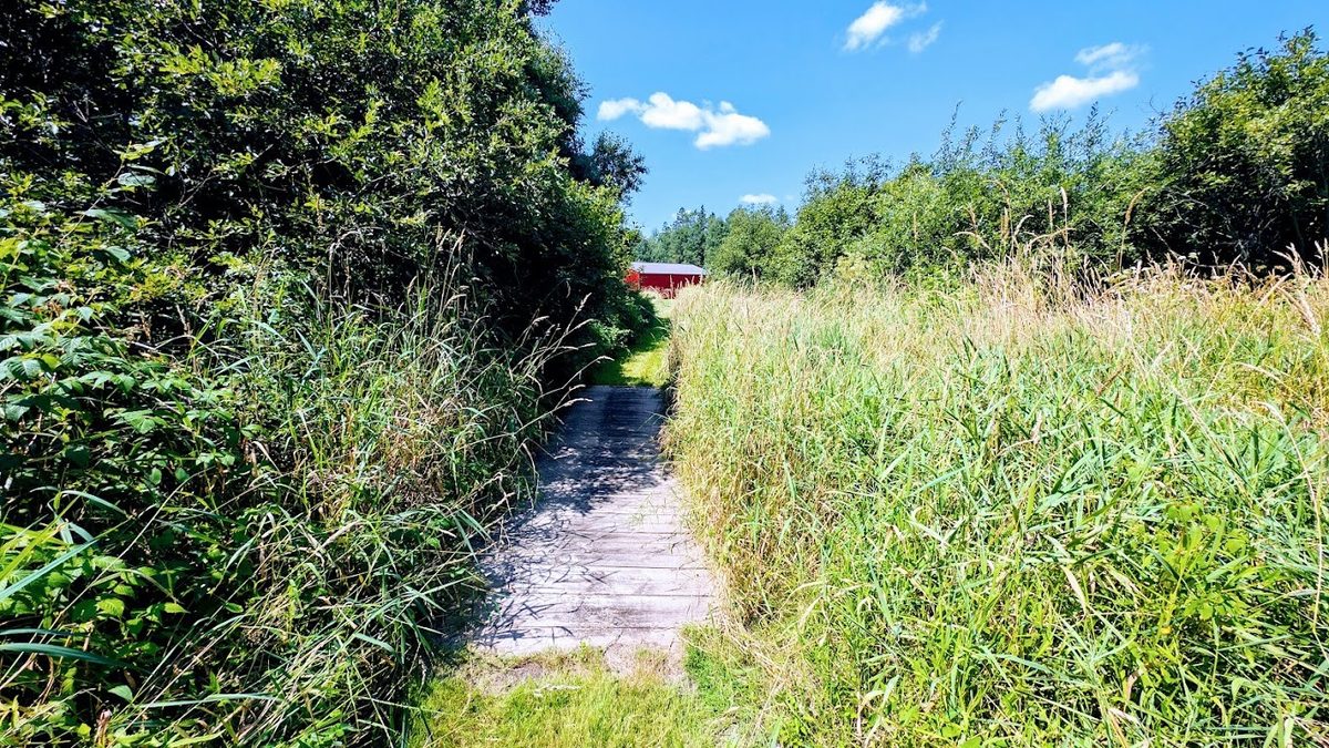 N2438 State Highway 27, Conrath WI 54731 - Residential house for sale - MLS #1603765 - image58