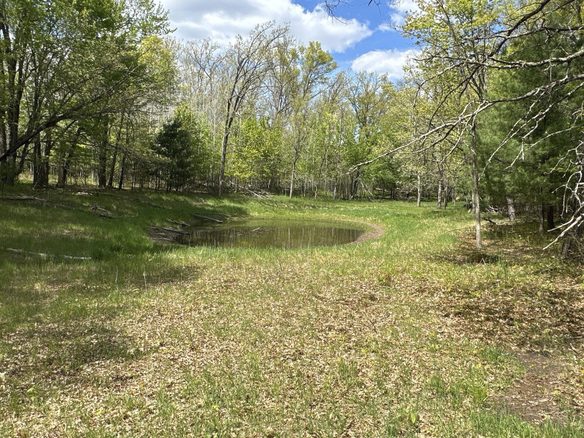 25275 Bruss Road, Webster WI 54893 - Land house for sale - MLS #1602158 - image1