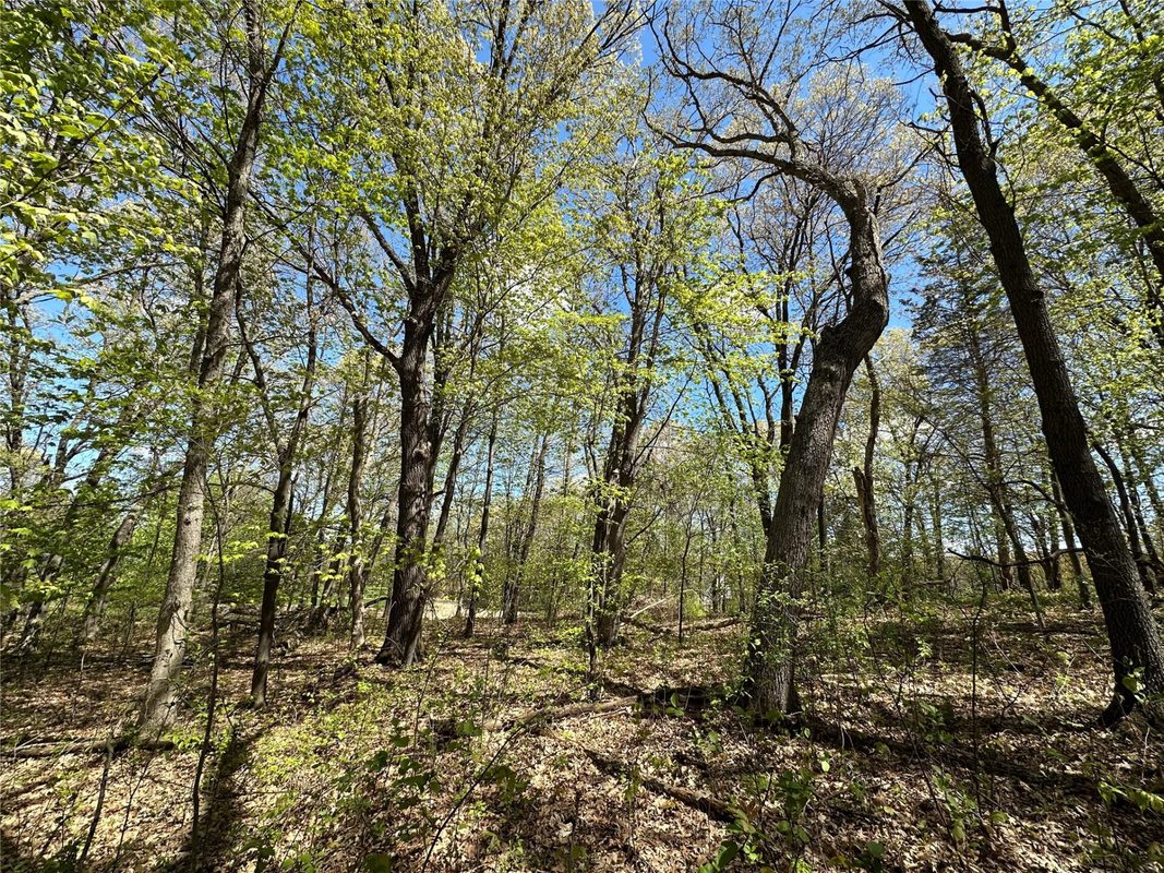 1438 Pleasant Hill Road, Eau Claire WI 54703 - Land house for sale - MLS #1602766 - image36