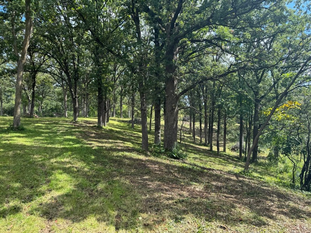 Lot 28 21st Street, Rice Lake WI 54868 - Land house for sale - MLS #1603229 - image26