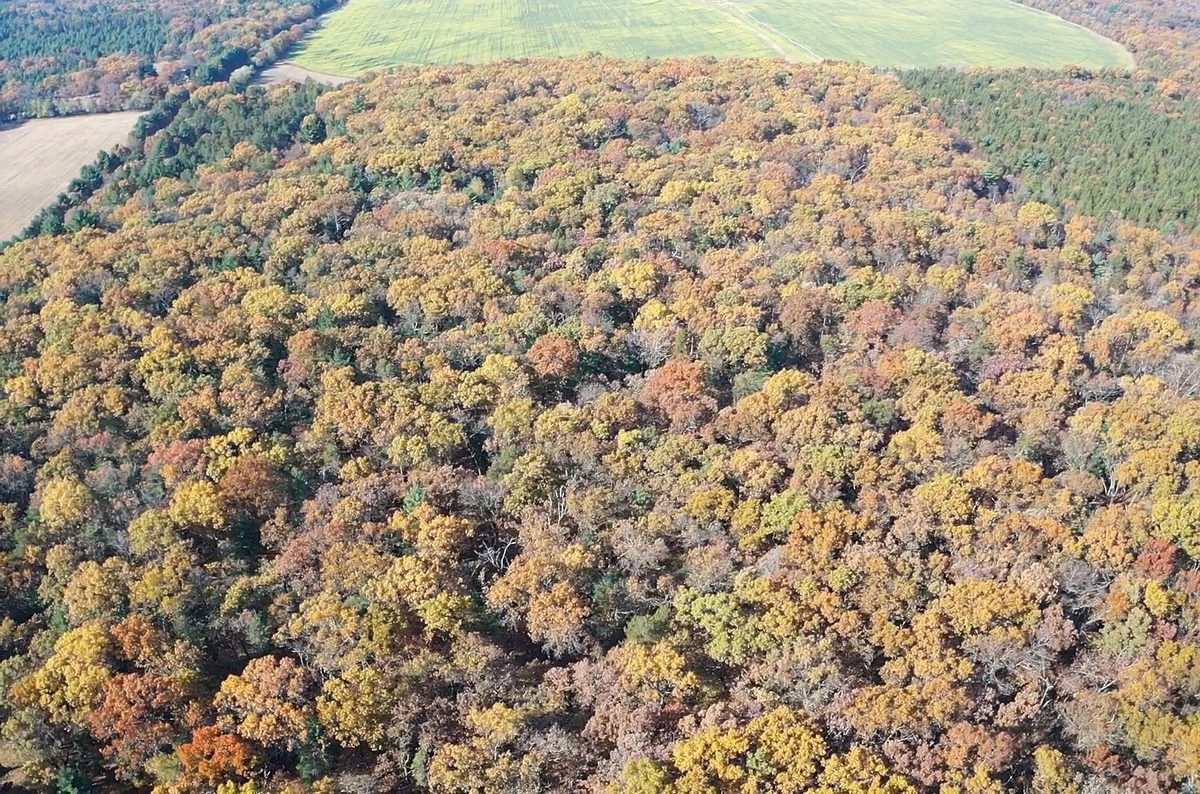 TBD Fish Drive, Grand Marsh WI 53936 - Land house for sale - MLS #1606229 - image11