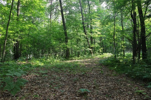 Lot 11 103rd Street Frederic WI 54837