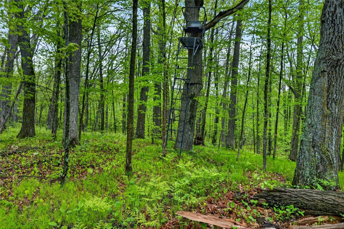 N8771 Fye Road, Trego WI 54888 - Land house for sale - MLS #1603147 - image28