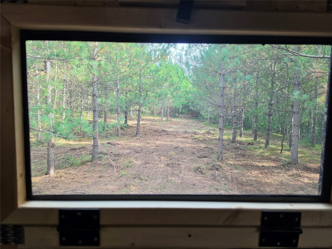 20 Acres Adams Road, Bruce WI 54819 - Land house for sale - MLS #1602683 - image19