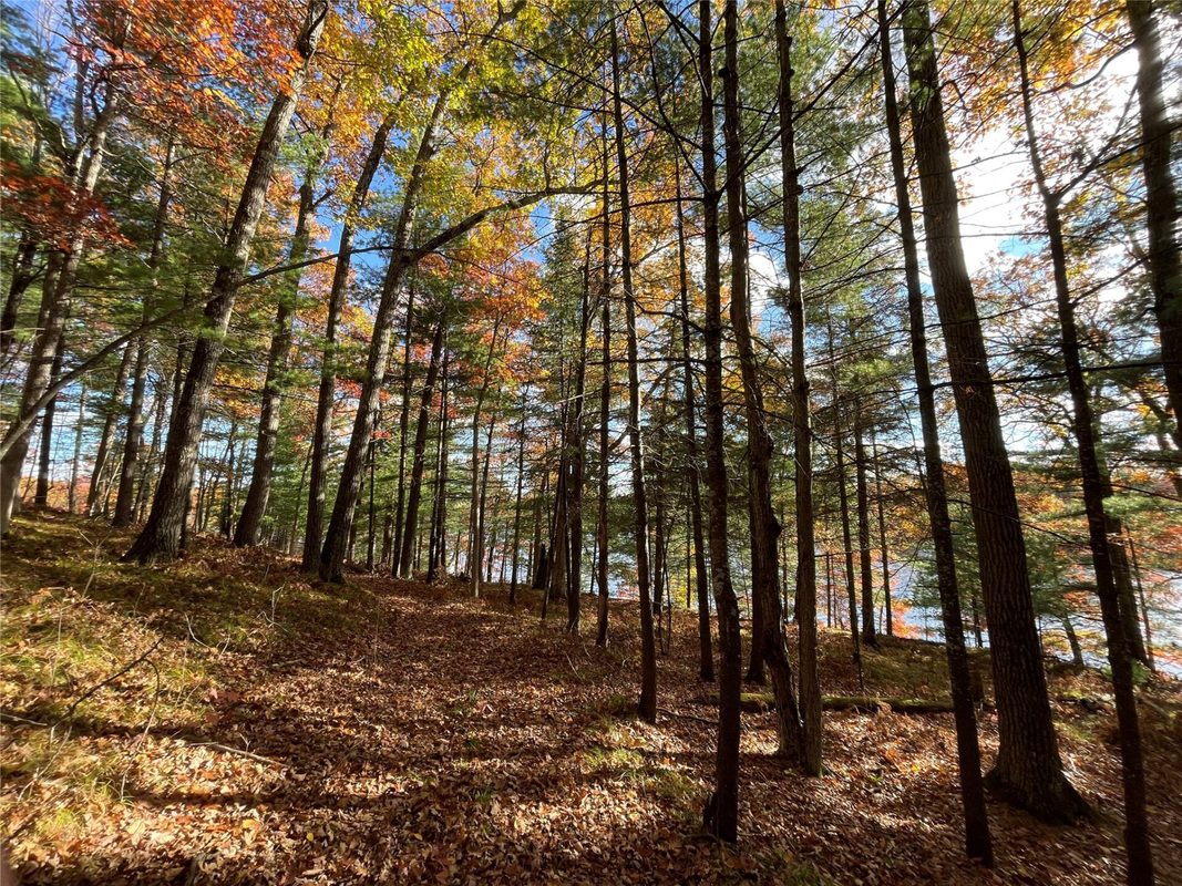 7 W Tanager Trail, Hayward, WI — photo 29