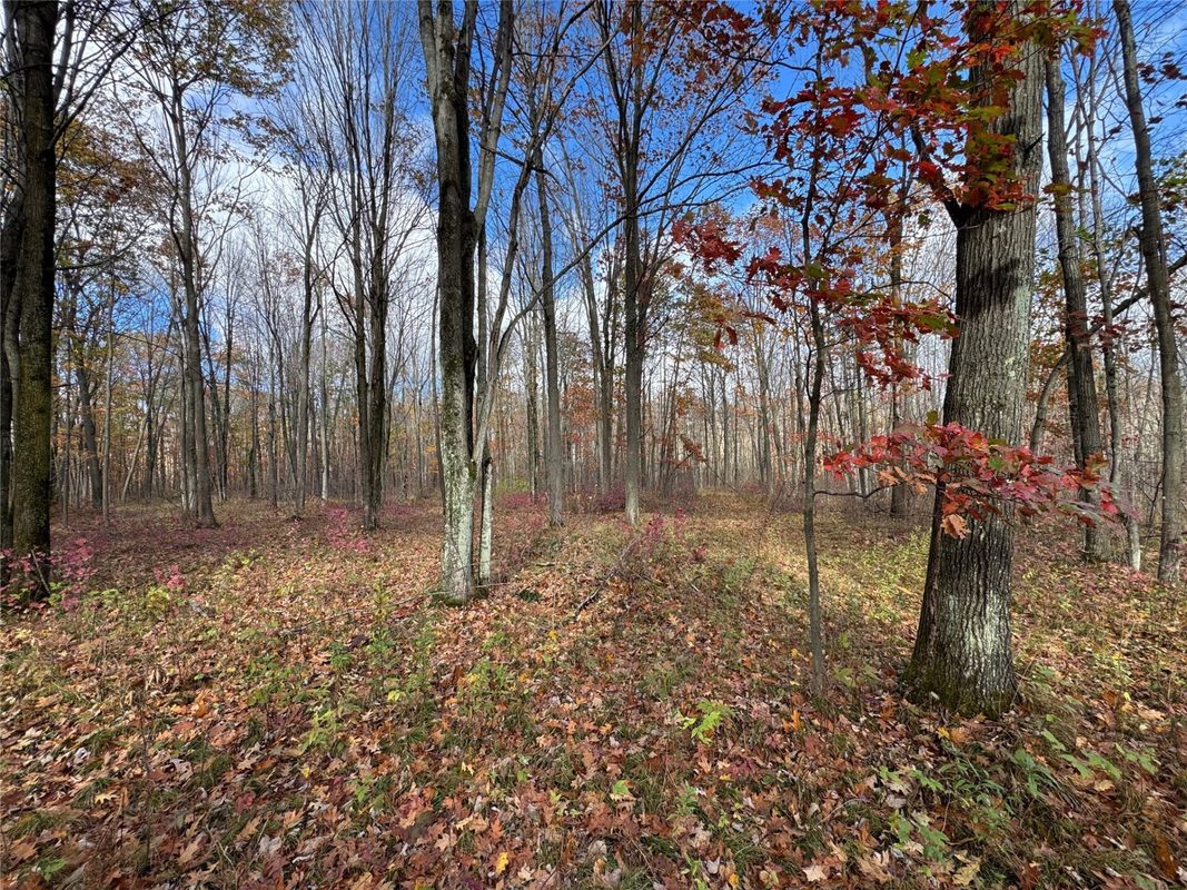208220 Kane Lane, Mosinee WI 54455 - Land house for sale - MLS #1606074 - image8