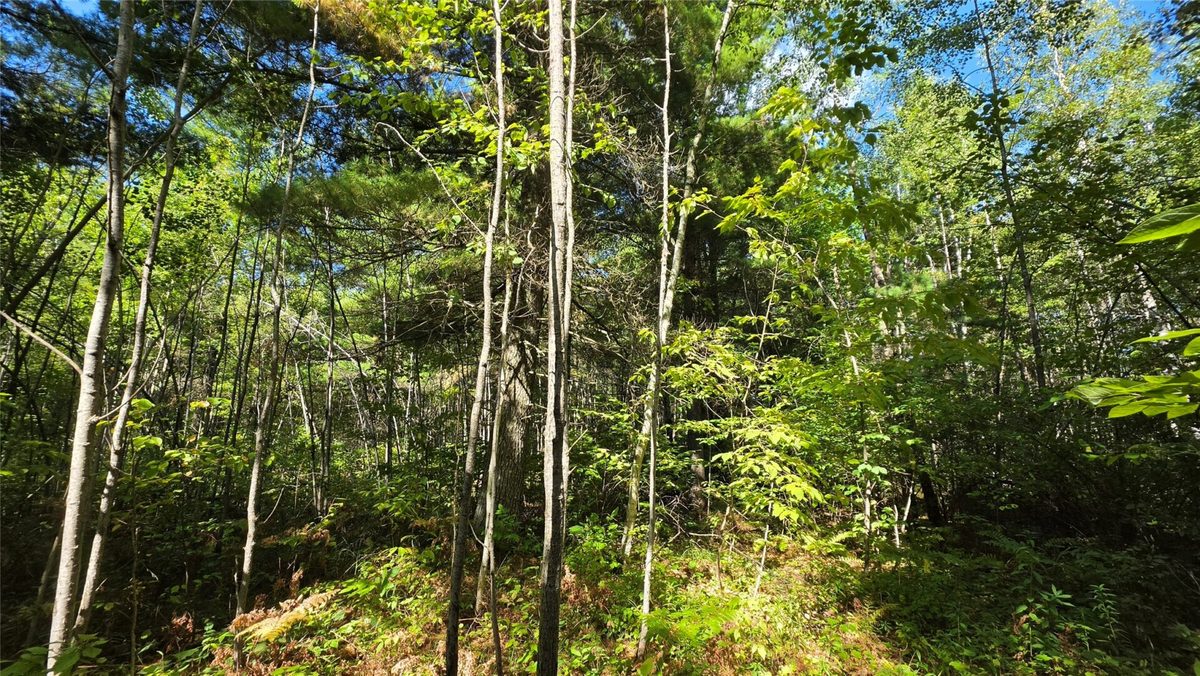4602W State HWY 70, Winter WI 54896 - Land house for sale - MLS #1605196 - image9