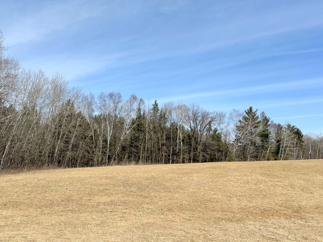 820 14th Avenue Almena WI 54805 — photo 44