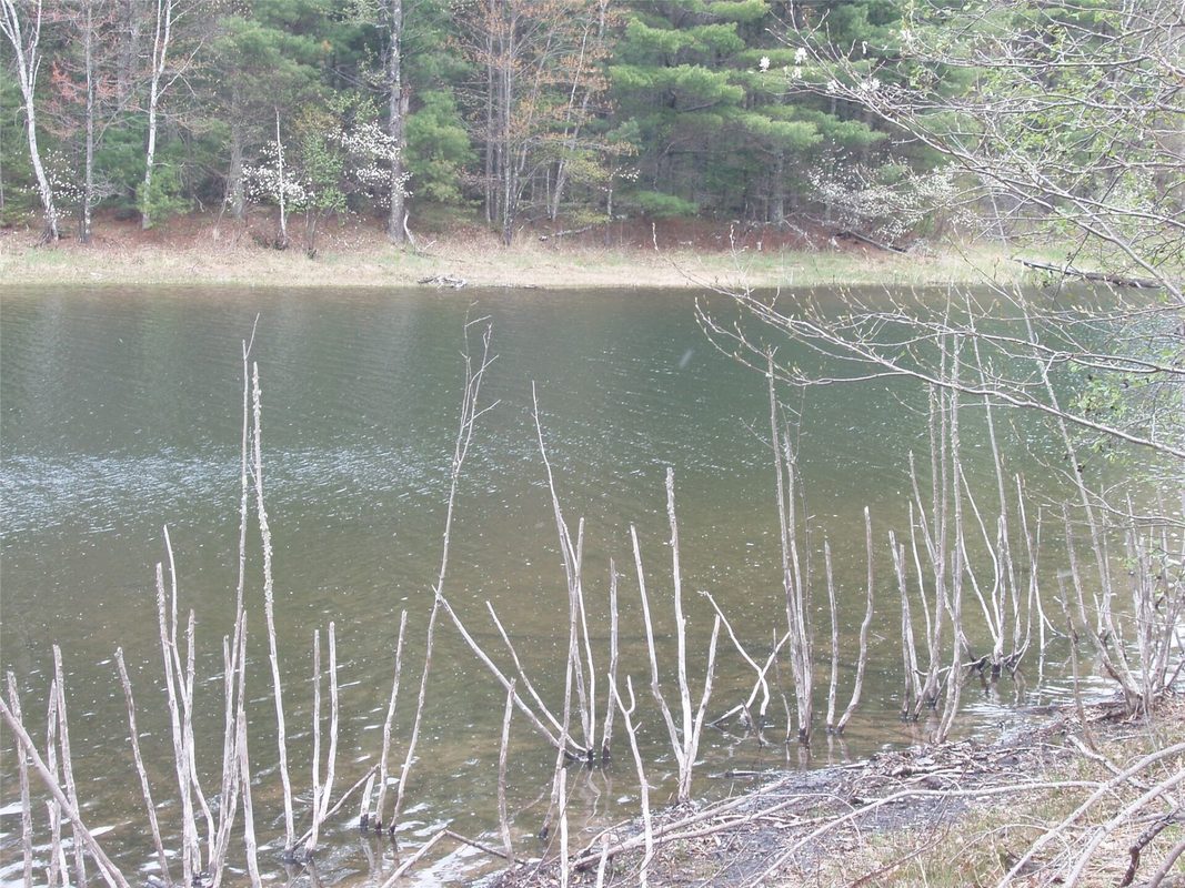N16473 Patterson Lake Road, Park Falls WI 54552 - Land house for sale - MLS #1603551 - image8