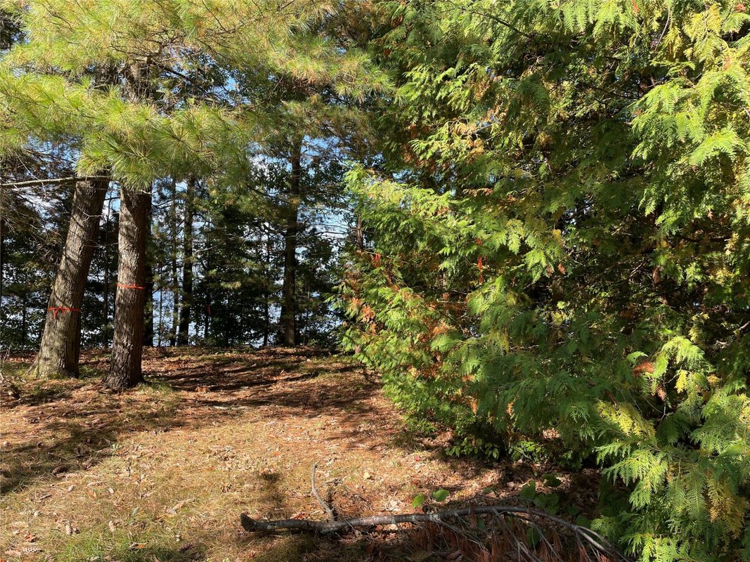 6073 Elsie Road, Stone Lake WI 54876 - Land house for sale - MLS #1602616 - image34
