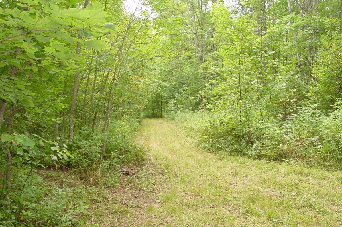 N5391 Hwy. 73, Ingram WI 54526 - Residential house for sale - MLS #1604886 - image21
