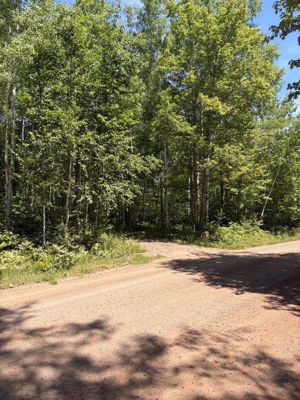 2568 North Shore Road, La Pointe WI 54850 - Land house for sale - MLS #1602966 - image2