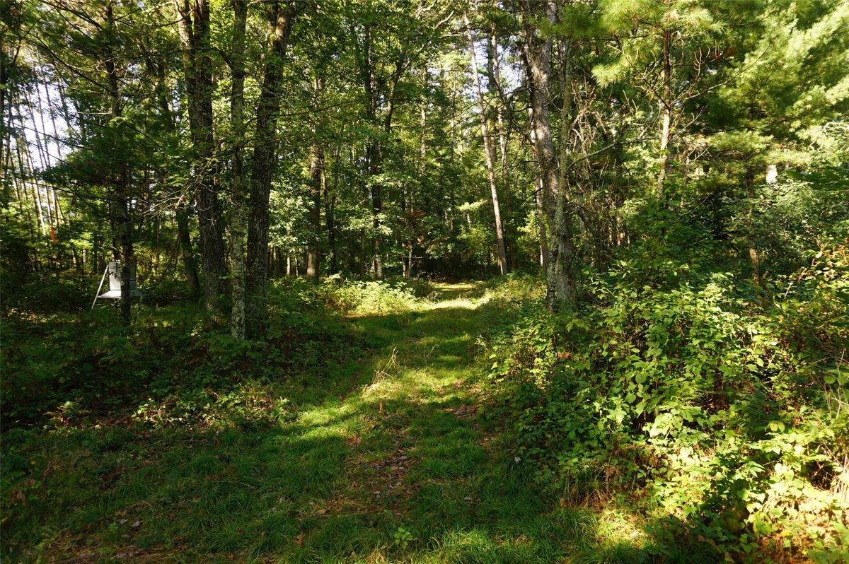 N9105 Flood -- Lot 5 Road, Black River Falls WI 54615 - Land house for sale - MLS #1605206 - image5