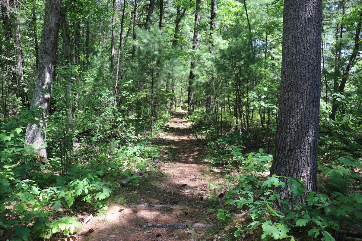 N7280 Waters Edge Road, Black River Falls WI 54615 - Residential house for sale - MLS #1601969 - image18