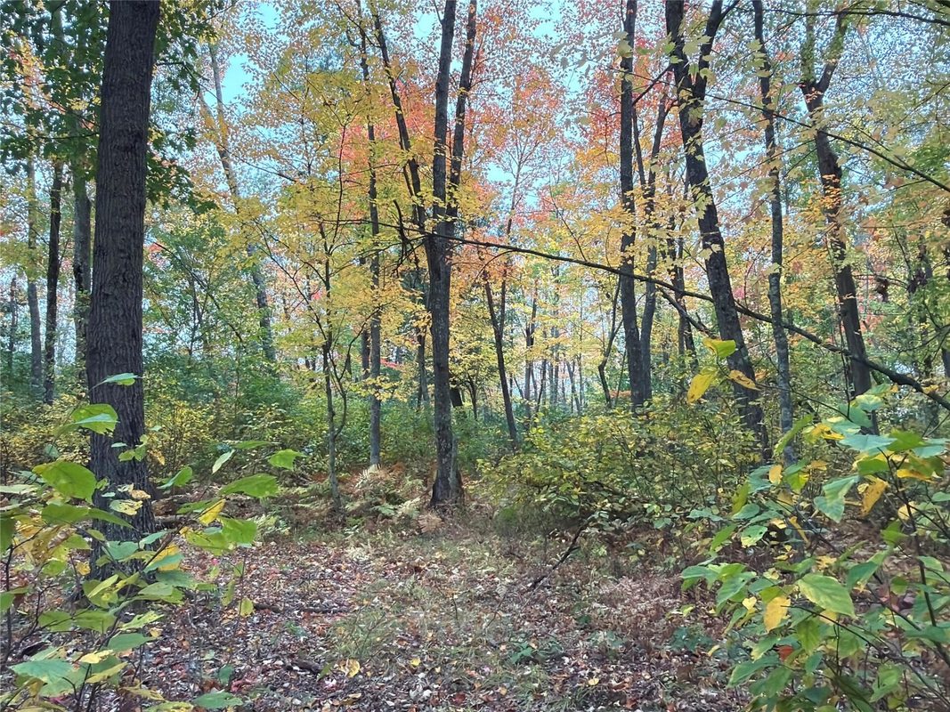 0 Klarquist Road, Webster WI 54840 - Land house for sale - MLS #1605651 - image9