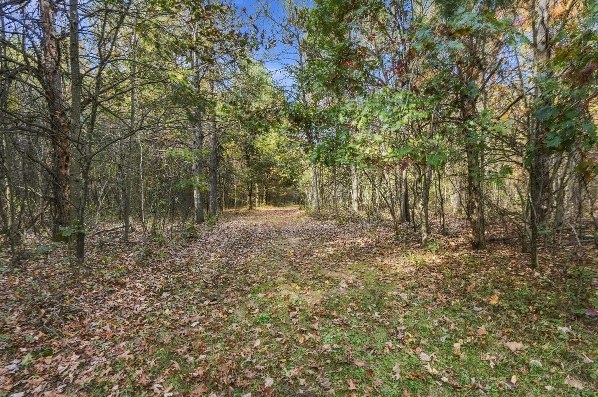 W15501 US Highway 10, Fairchild WI 54741 - Residential house for sale - MLS #1605777 - image47