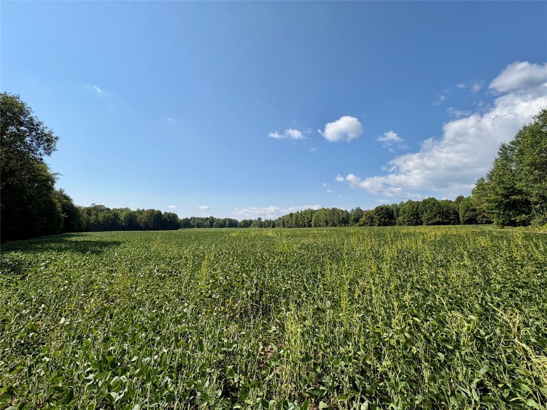 W16860 Cty Rd D, Sheldon WI 54766 - Land house for sale - MLS #1604631 - image36