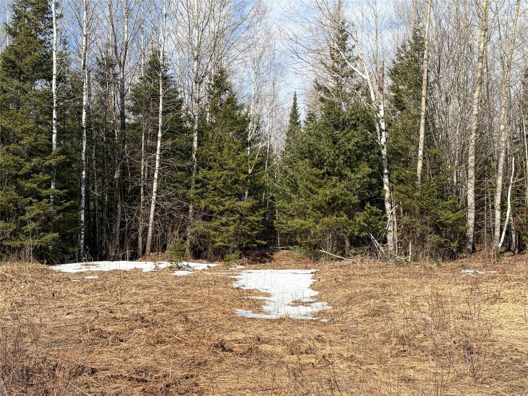 On CTH F Park Falls WI 54552 — photo 3