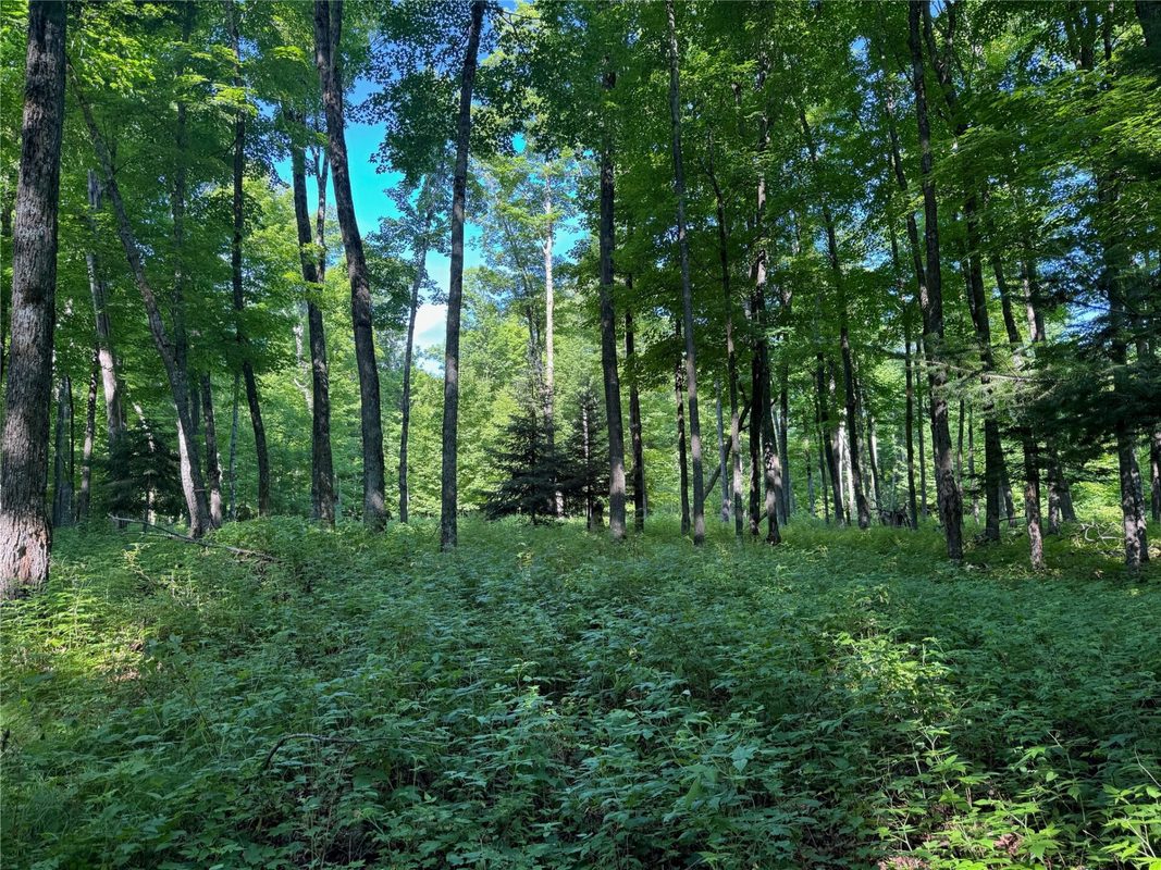 Lot 8 Crane Lane, Hayward WI 54843 - Land house for sale - MLS #1603375 - image20