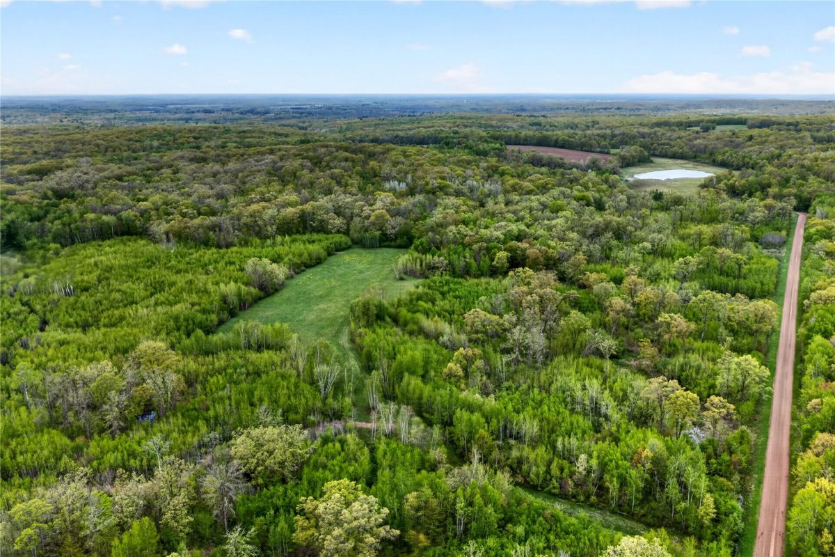 N8771 Fye Road, Trego WI 54888 - Land house for sale - MLS #1603147 - image4
