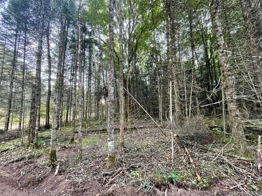 Lot 3 Fadness Road, Winter WI 54896 - Land house for sale - MLS #1605263 - image18