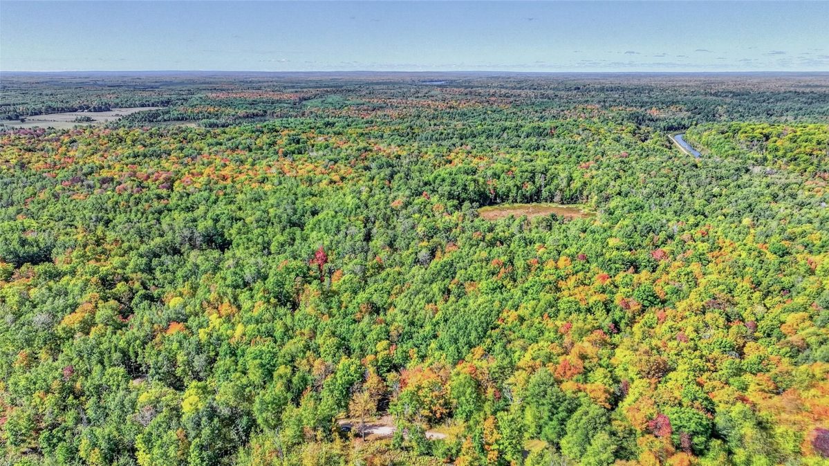 8087N Universal Drive, Winter WI 54896 - Land house for sale - MLS #1605404 - image8