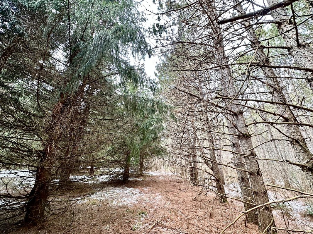 TBD 20 Acres 630th Street Colfax WI 54730 — photo 49