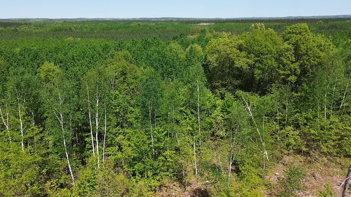 343X 5th Avenue, Spooner WI 54801 - Land house for sale - MLS #1601653 - image12