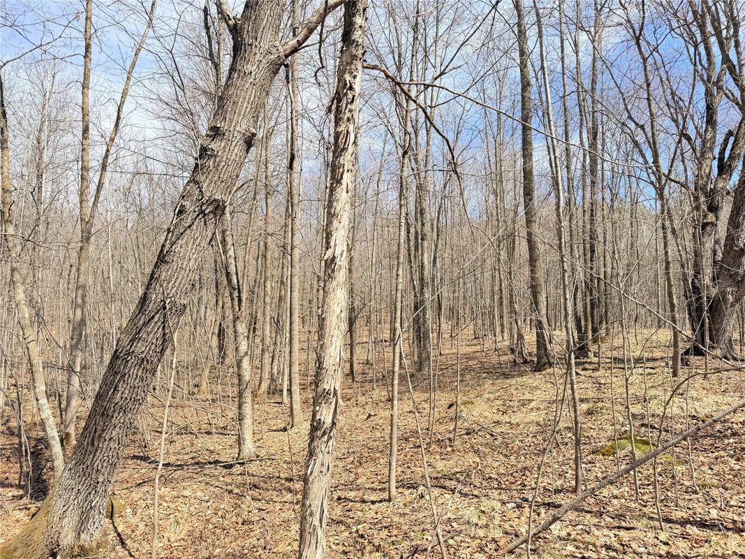 20 Acres Star Lake Road, Rice Lake, WI — photo 19