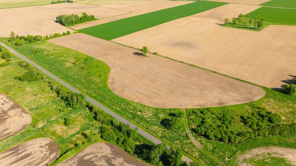 0 Nyes Road, Stanley WI 54768 - Land house for sale - MLS #1601802 - image4