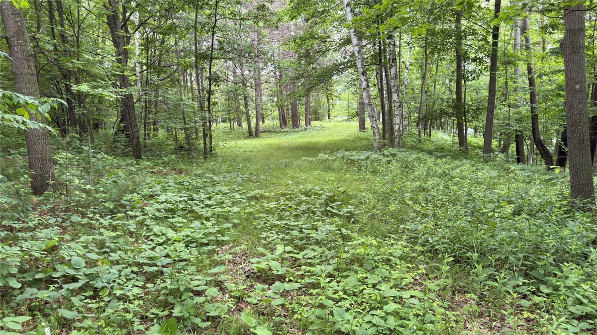 765 270th Ave Cty Rd O, Frederic WI 54837 - Land house for sale - MLS #1602300 - image3