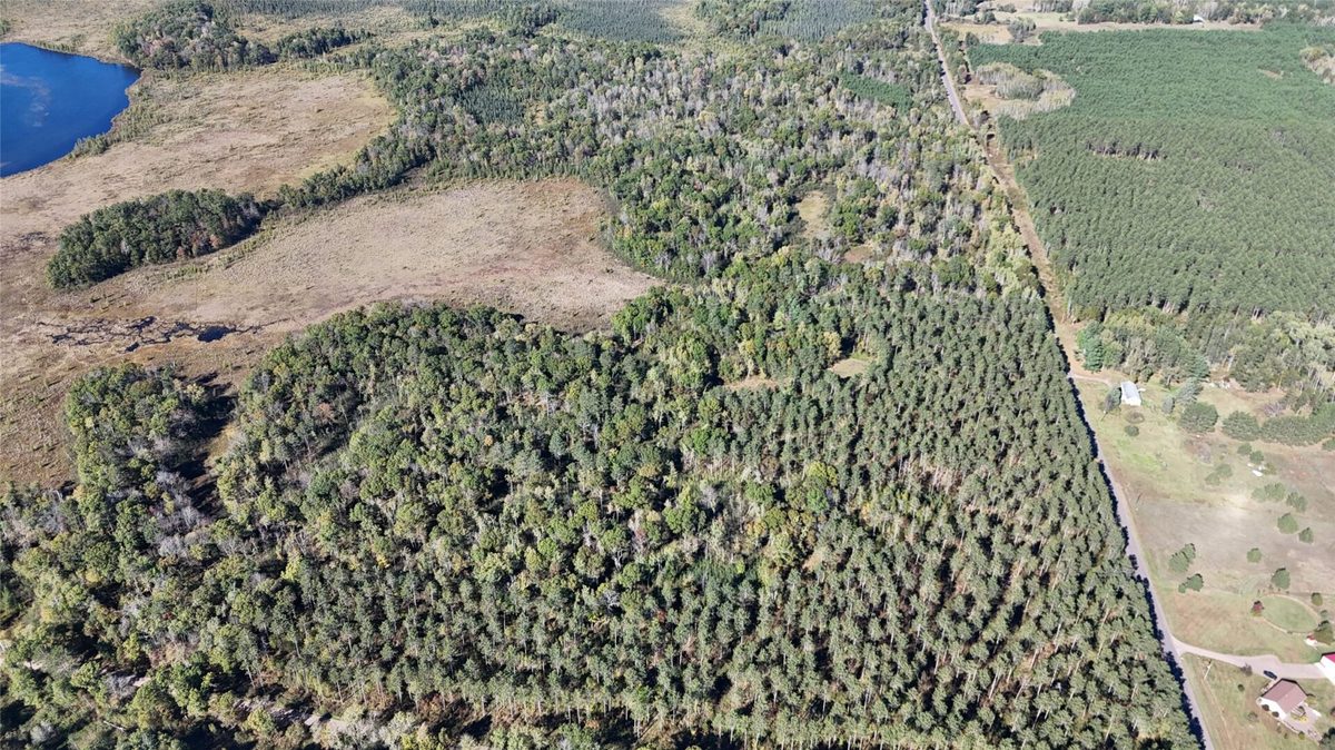 TBD CC Mann Road, Spooner WI 54801 - Land house for sale - MLS #1602851 - image5