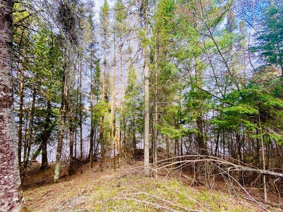 11171 S Engstad Road, Solon Springs, WI