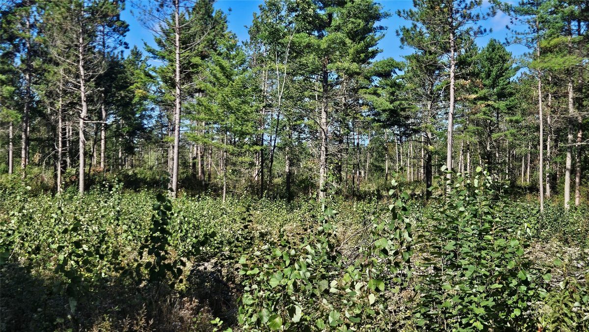 1-7 Larson Road, Hayward WI 54843 - Land house for sale - MLS #1605167 - image15