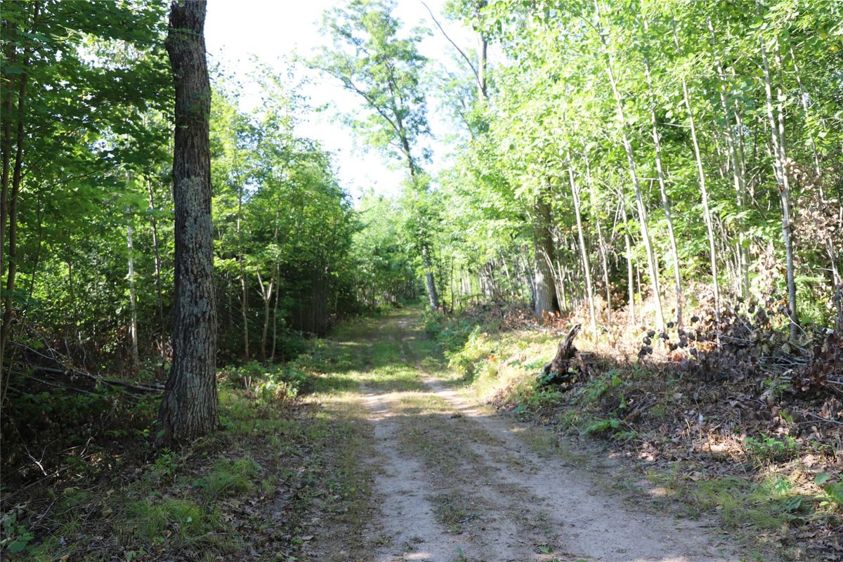 0000 Sand Lake Road, Stone Lake WI 54876 - Land house for sale - MLS #1604299 - image36