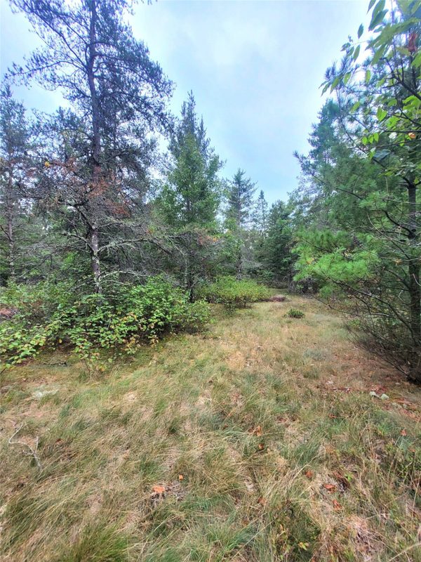 0 Blueberry Rd, Gordon WI 54838 - Land house for sale - MLS #1604990 - image17