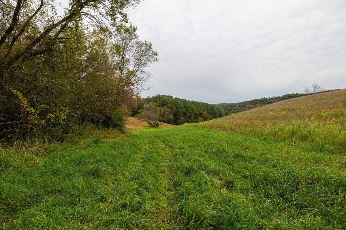 24657 Norway Valley Road  Arcadia WI 54612 - image9