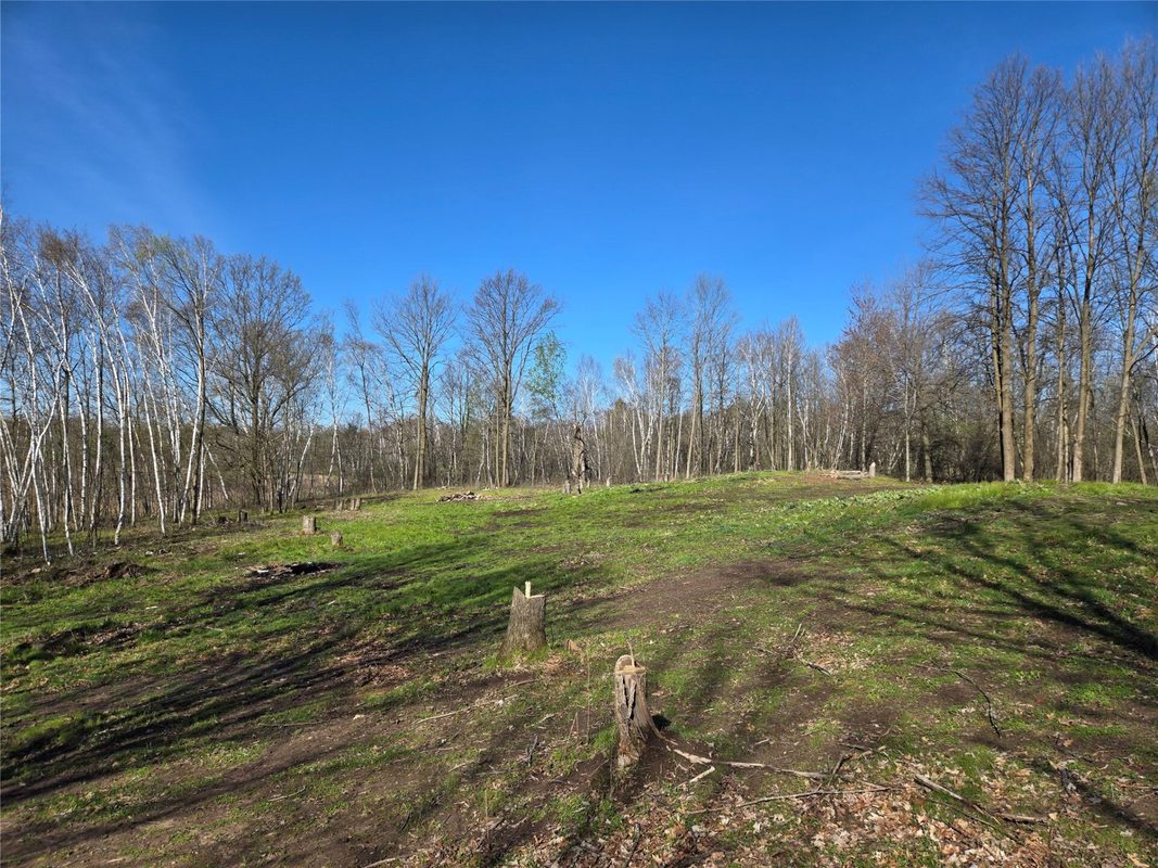 110 90th Avenue, Clayton WI 54004 - Land house for sale - MLS #1600343 - image17