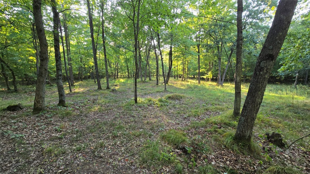 W02 State Highway 64, Colfax WI 54730 - Land house for sale - MLS #1604529 - image18