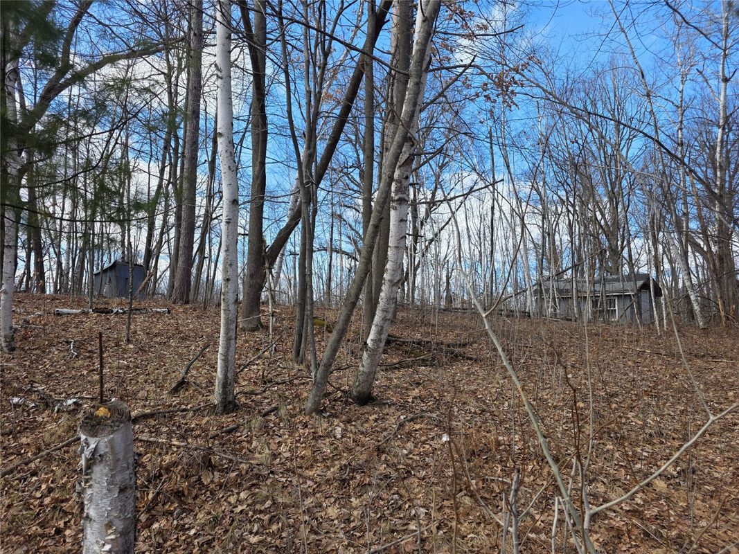 00 Highway W Weyerhaeuser WI 54895 — photo 4